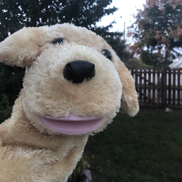 aurora stuffed dog